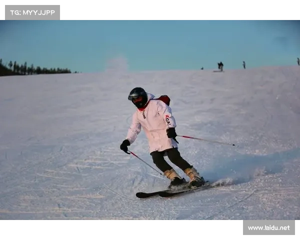 国际滑雪场排名