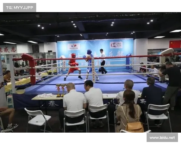 职业拳击赛事收入怎么样